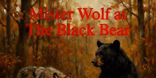 Mister Wolf at The Black Bear Tewkesbury 