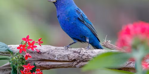 Field Trip: Jerry Smith Park