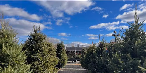 Jungle Jim\u2019s Christmas Tree Farm Opening Day