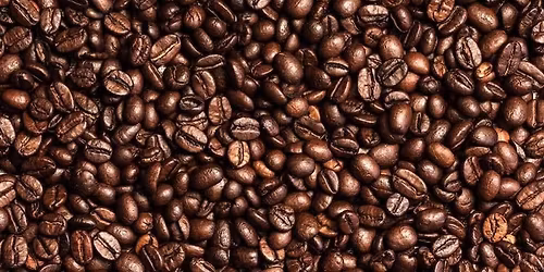 Cat’s Corner Studio Pop Up