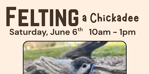 Felting a Chickadee