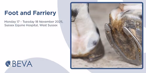 Foot and Farriery