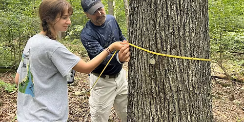 Winter Lecture Series - Old-Growth Forests