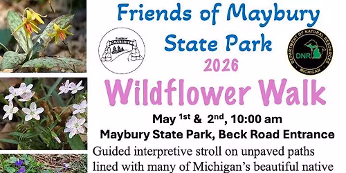 Wildflower Walk