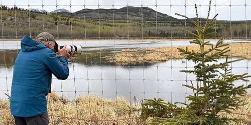 Ushering in fall at the Yukon Wildlife Preserve