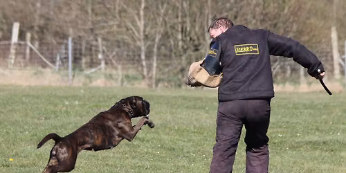 Herbstprüfung mit LR Michael Felber