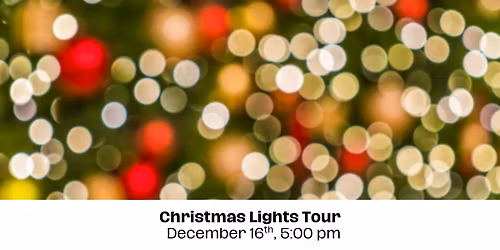 Dial-A-Ride Christmas Lights Tour