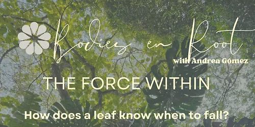 Bodies en Root: The Force Within