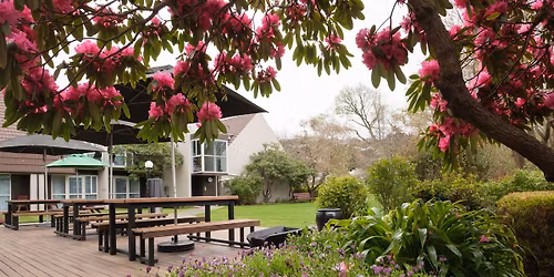 Mother's Day Buffet Lunch 2026