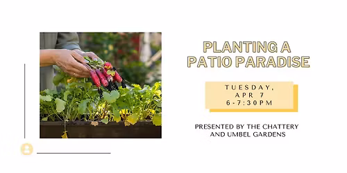 Planting a Patio Paradise