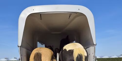 Trailerladen zonder strijd 
