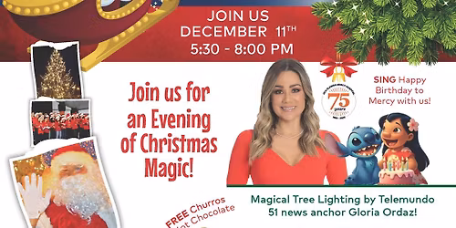 Magical Tree Lighting By the Bay