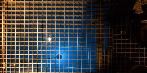 Urban Cave Diving
