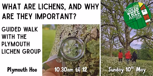 Guided Walk - What are lichens and why are they important?