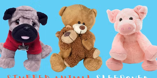 Stuffed Animal Sleepover