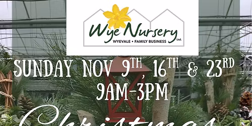 Wye Nursery Ltd. Christmas Markets