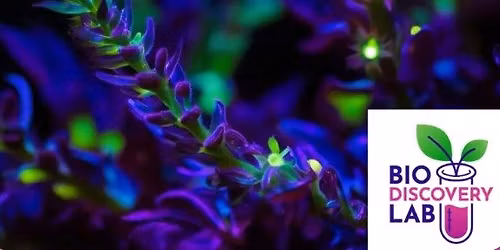 BioDiscovery Lab: Exploring Bioluminescence