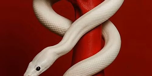 DAD'S BALL VI: Forbidden Fruits - New Orleans - Mardi Gras - 2026