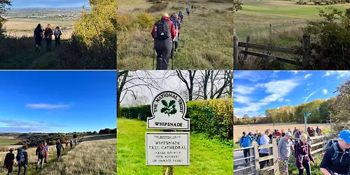 Chiltern Way, Whipsnade & Dunstable Downs 15 mile hike - Saturday 20th June