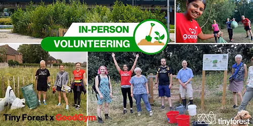 Tiny Forest Community Monitoring Day at Mutton Brook, Barnet - Part 2