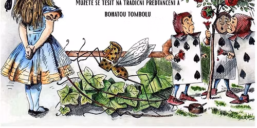 D\u00edv\u010d\u00ed v\u00ednek Tvrdonice 2025