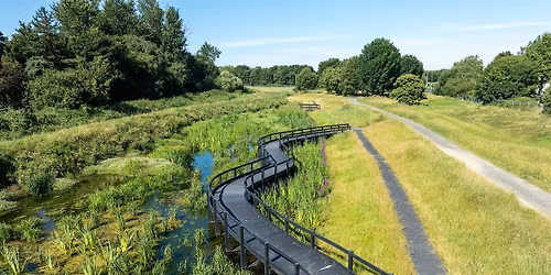 River Poddle Wetland in Tymon Park Guided Tour