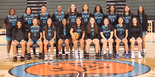 Women's Fighting Cacti Basketball Home Game