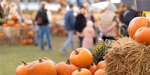 Fall Fest