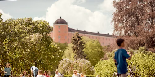 Midsummer picnic