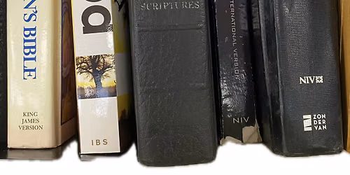 New Life In Christ Bible Study