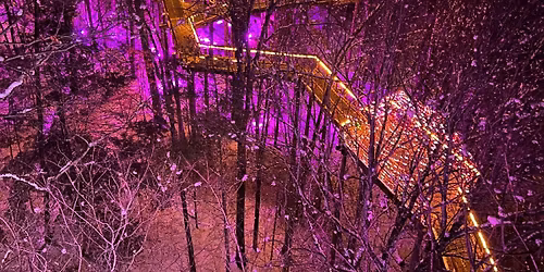 An Enchanted Evening Celebrating Magic Tree House at Colonial Theatre Pittsfield