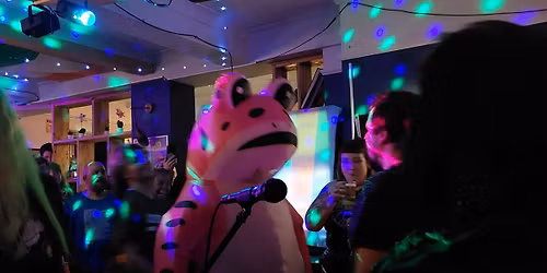 SEE MORE PUNK 2 @ THE SEYMOUR ARMS