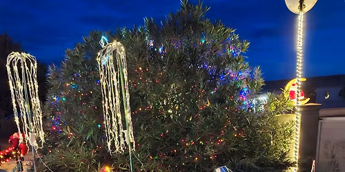 Inauguration illuminations 2025