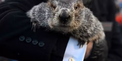 No Shadow Please \ud83d\ude4f Gobbler's Knob Bus Trip