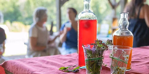 Savor the Summer: Herbal Syrups, Shrubs & Spritzers with Spoonful Herbals