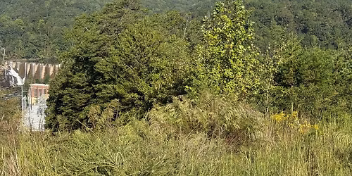 Volunteer Only Hike at Swiftwater Farm