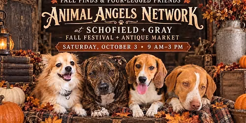 Fall Finds and Four Legged Friends at Schofield and Gray