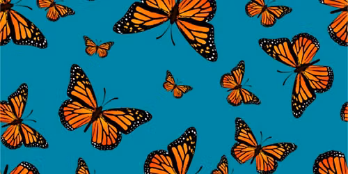 Flight of the Butterflies Documentary Screening