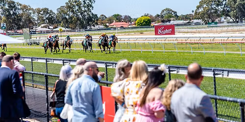 Friday Family Fun Race Day