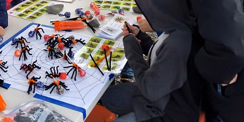 WCMGA Education Garden Open Garden: Spiders, Beneficial Insects and Wildlife, Oh My!