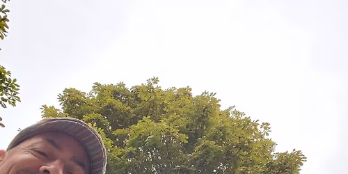 Greek and romanian music