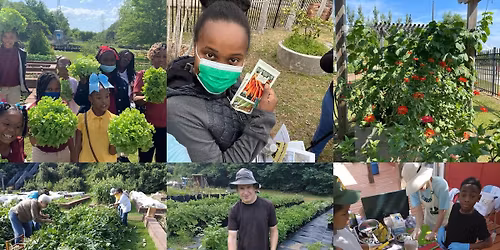 Volunteer in the Therapeutic Recreation Center Garden