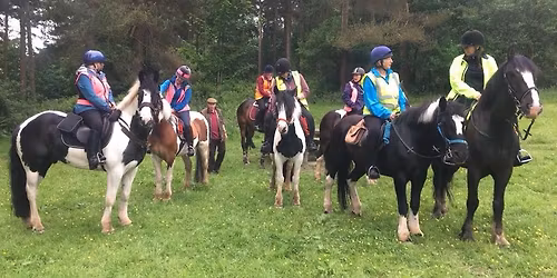 Adult Gymkhana Xmas fun