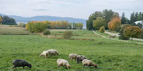 Reading the Landscape from Bedrock to Pasture