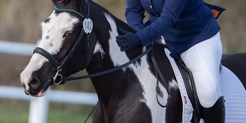 Quest Club Dressage