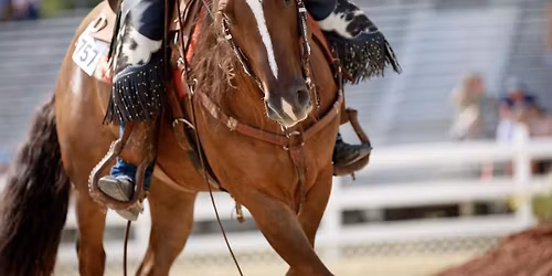 NHQHA Full slate Ranch show