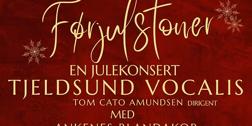 F\u00f8rjulstoner- en julekonsert \u2728 Tjeldsund Vocalis m. flere