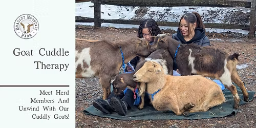 Goat Cuddle Therapy