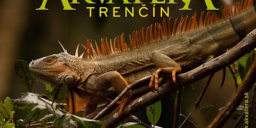 AkvaTera Trenčín 22.3.2026