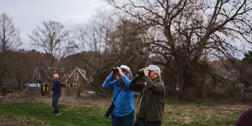 Birding at Coogan Farm